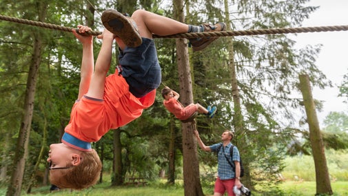 Boy climbing upside down on a rope between trees, and a man in the background pushing a child on the tyre swing.